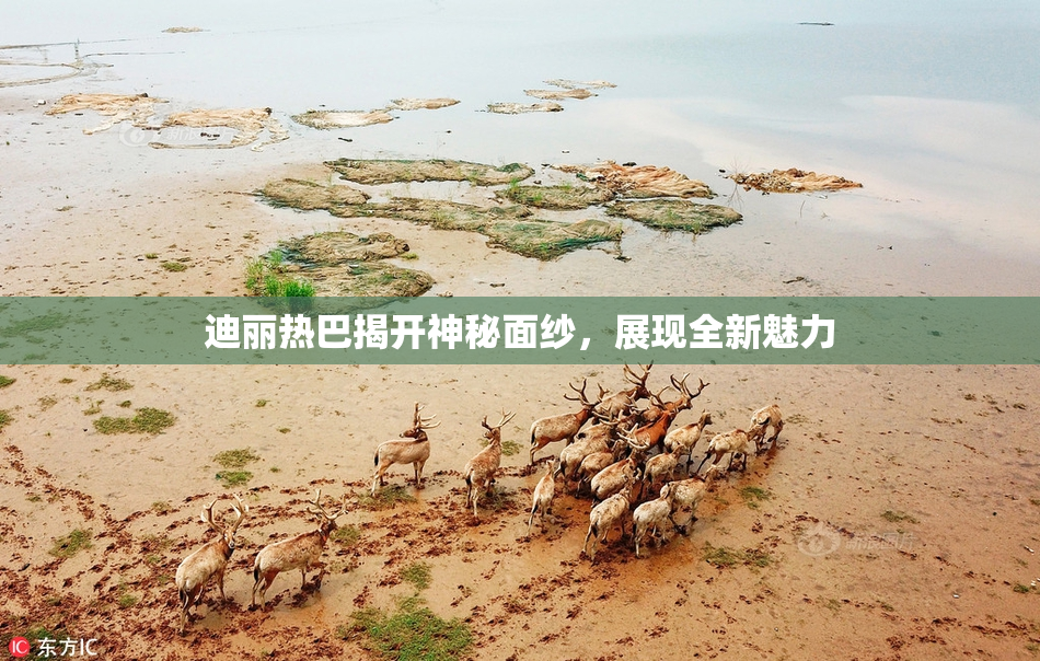 迪丽热巴揭开神秘面纱，展现全新魅力