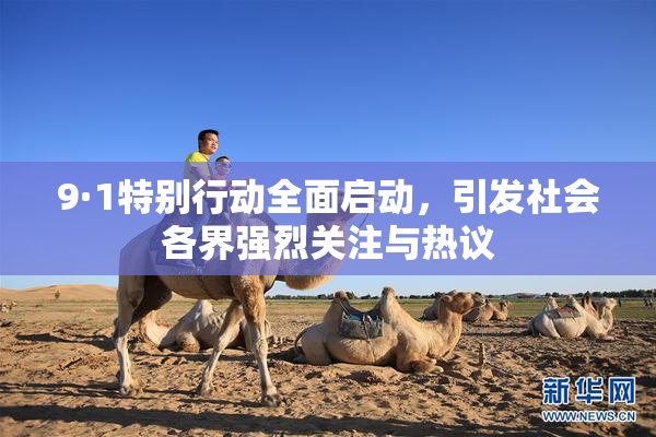 9·1特别行动全面启动，引发社会各界强烈关注与热议