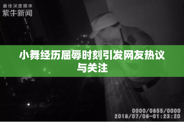 小舞经历屈辱时刻引发网友热议与关注