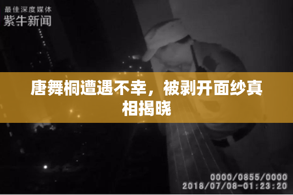唐舞桐遭遇不幸，被剥开面纱真相揭晓