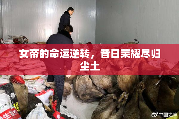 女帝的命运逆转，昔日荣耀尽归尘土