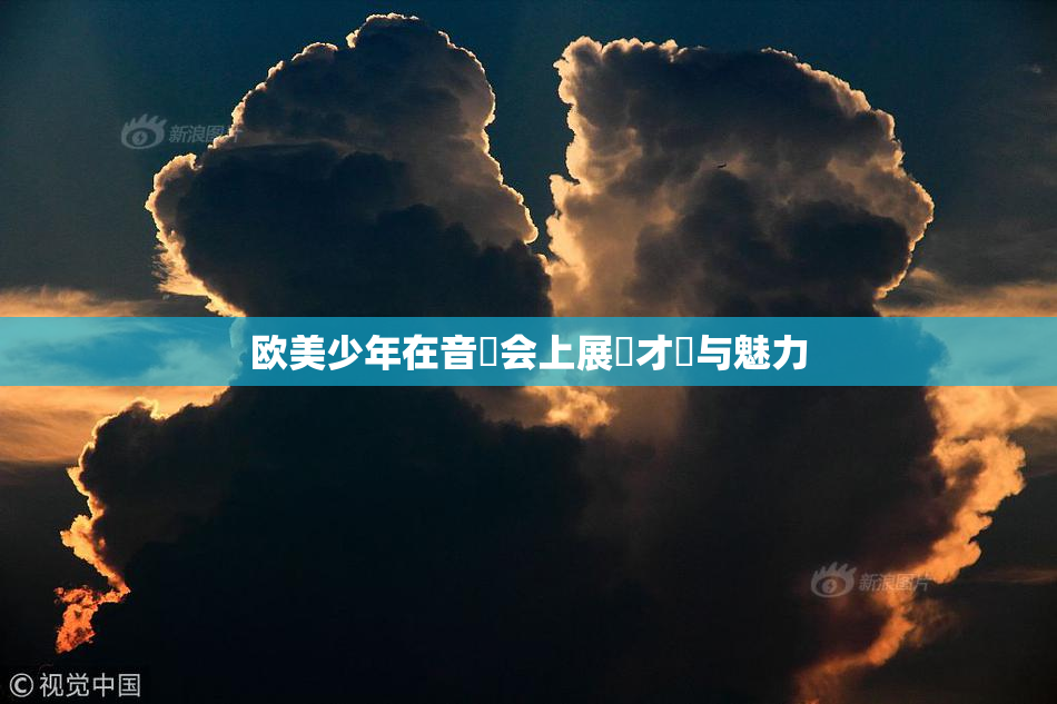 欧美少年在音樂会上展現才華与魅力