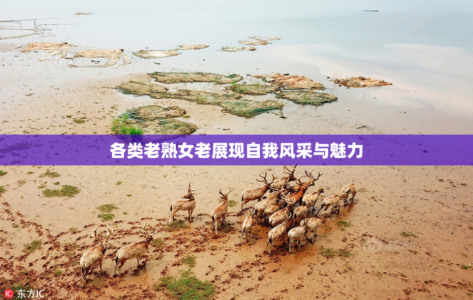 各类老熟女老展现自我风采与魅力