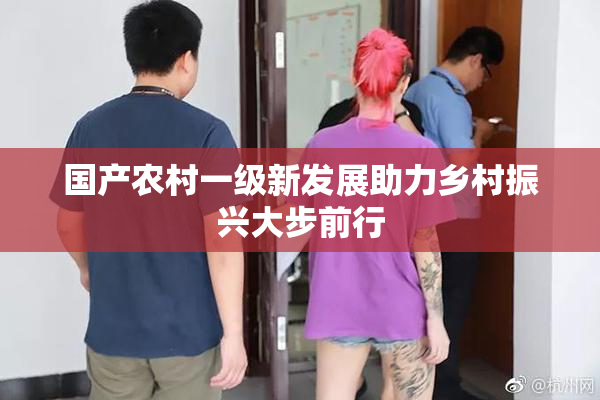 国产农村一级新发展助力乡村振兴大步前行