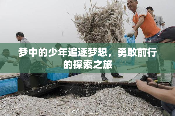 梦中的少年追逐梦想，勇敢前行的探索之旅