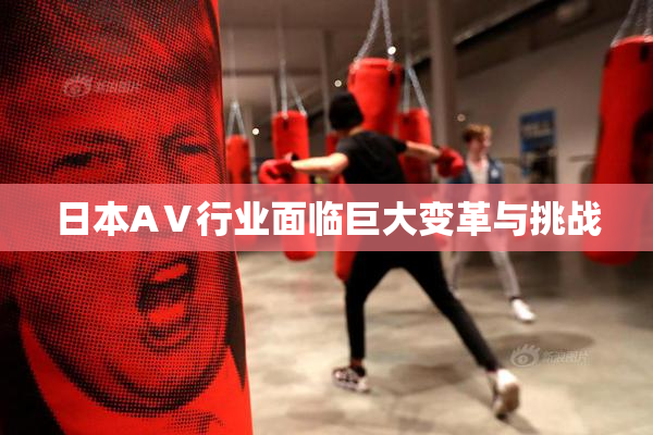 日本AⅤ行业面临巨大变革与挑战