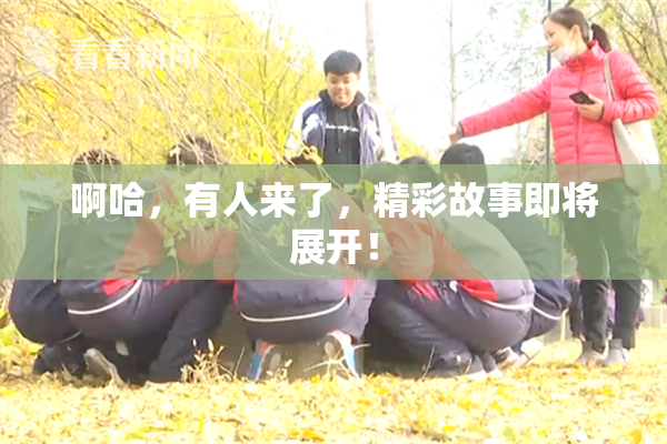 啊哈，有人来了，精彩故事即将展开！