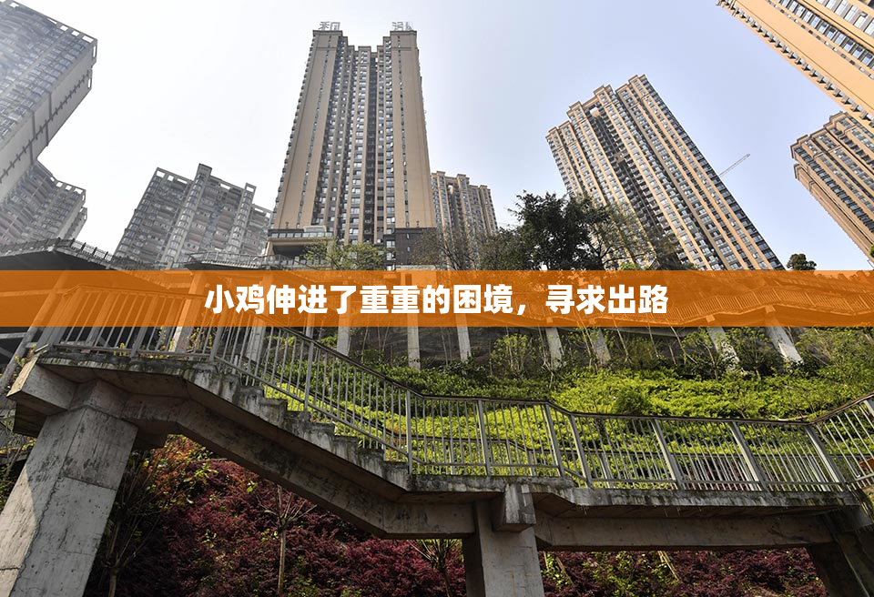 小鸡伸进了重重的困境，寻求出路