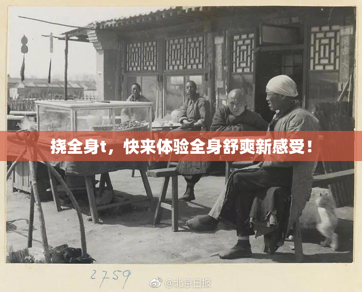 挠全身t，快来体验全身舒爽新感受！