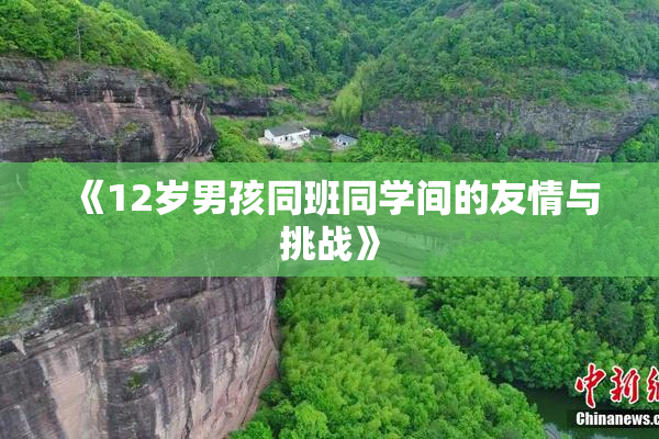 《12岁男孩同班同学间的友情与挑战》