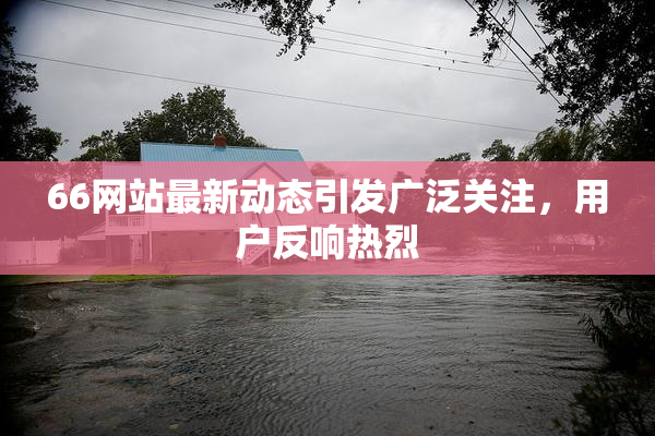 66网站最新动态引发广泛关注，用户反响热烈