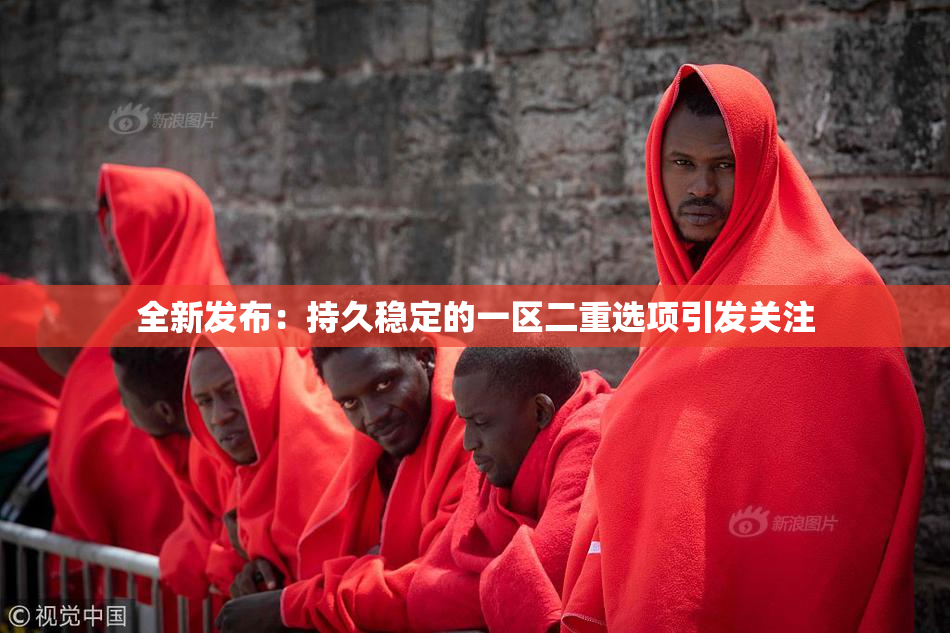 全新发布：持久稳定的一区二重选项引发关注