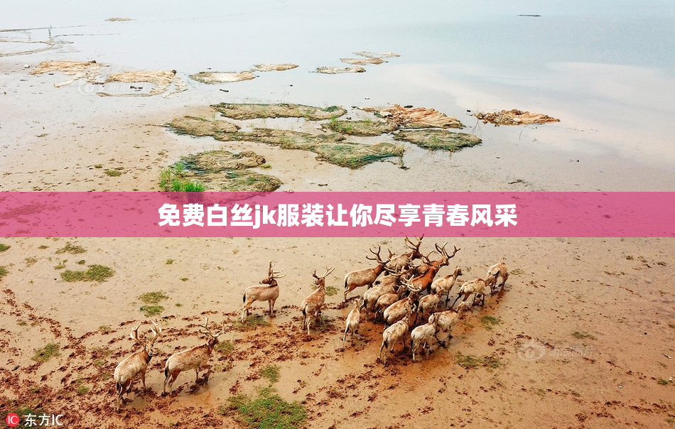 免费白丝jk服装让你尽享青春风采
