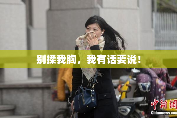 别揉我胸，我有话要说！