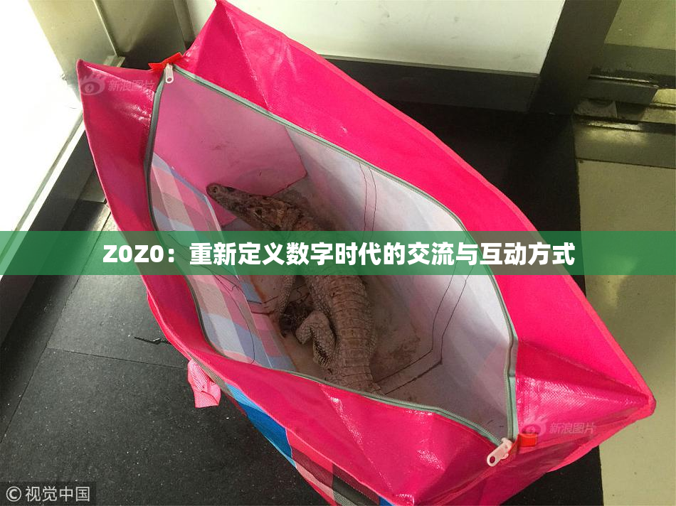 Z0Z0：重新定义数字时代的交流与互动方式