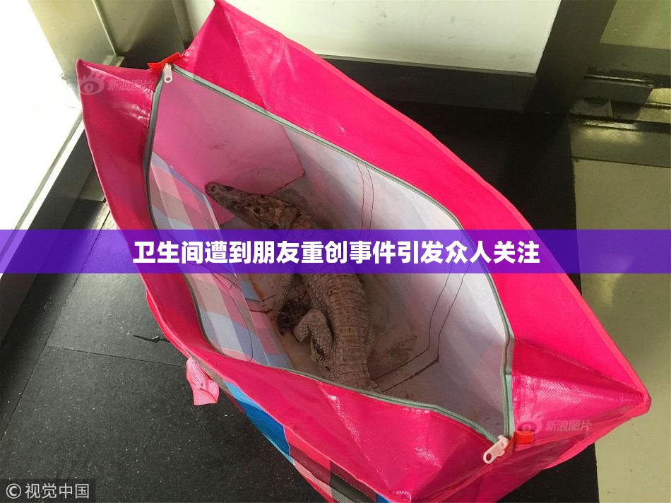卫生间遭到朋友重创事件引发众人关注