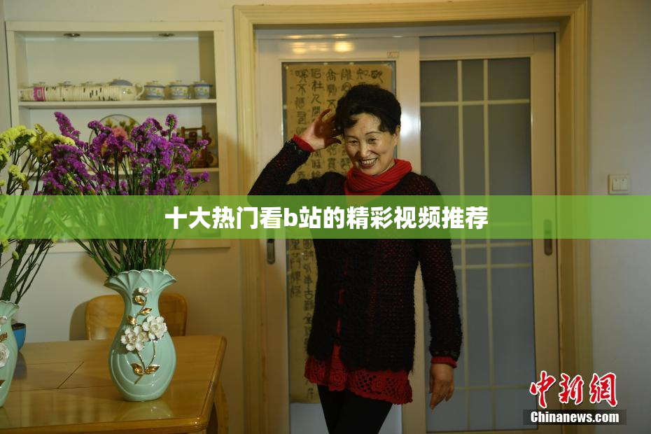 十大热门看b站的精彩视频推荐