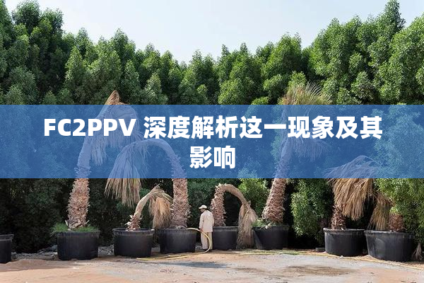 FC2PPV 深度解析这一现象及其影响