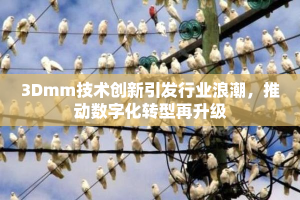 3Dmm技术创新引发行业浪潮，推动数字化转型再升级