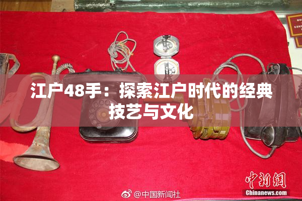 江户48手：探索江户时代的经典技艺与文化