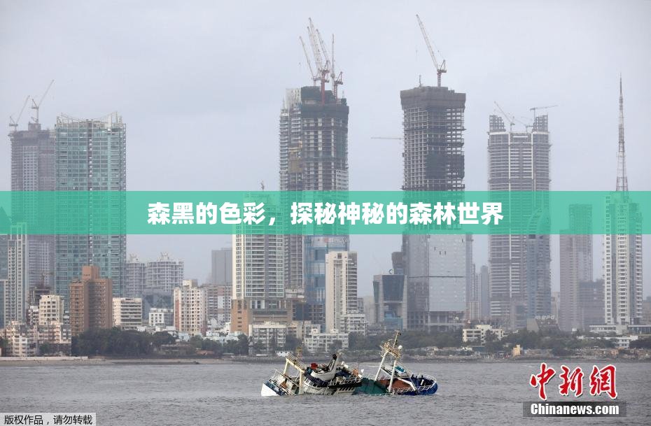 森黑的色彩，探秘神秘的森林世界