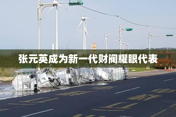 张元英成为新一代财阀耀眼代表