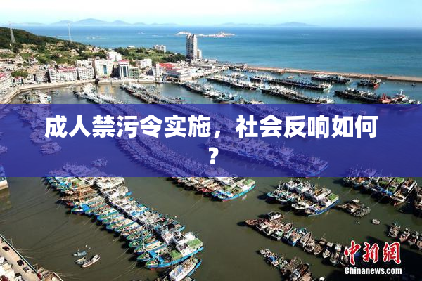 成人禁污令实施，社会反响如何？