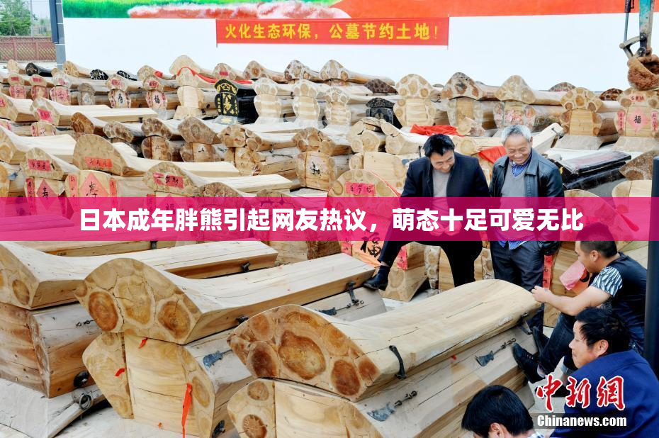 日本成年胖熊引起网友热议，萌态十足可爱无比