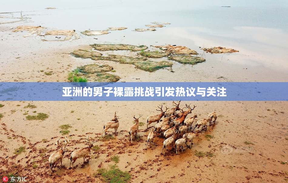 亚洲的男子裸露挑战引发热议与关注