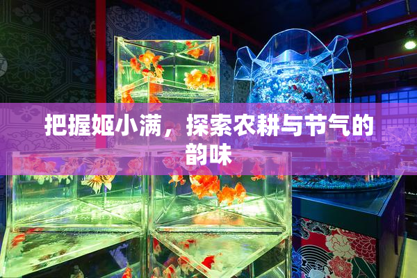 把握姬小满，探索农耕与节气的韵味