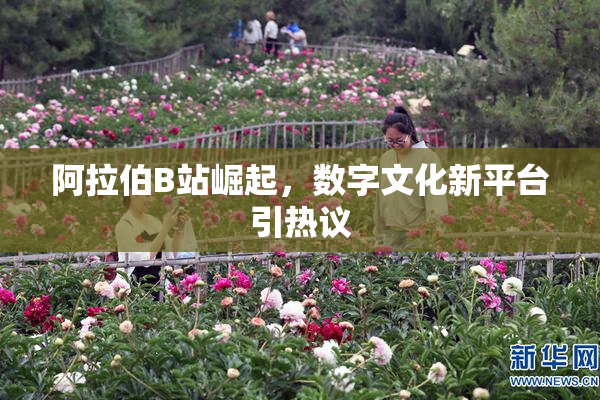 阿拉伯B站崛起，数字文化新平台引热议