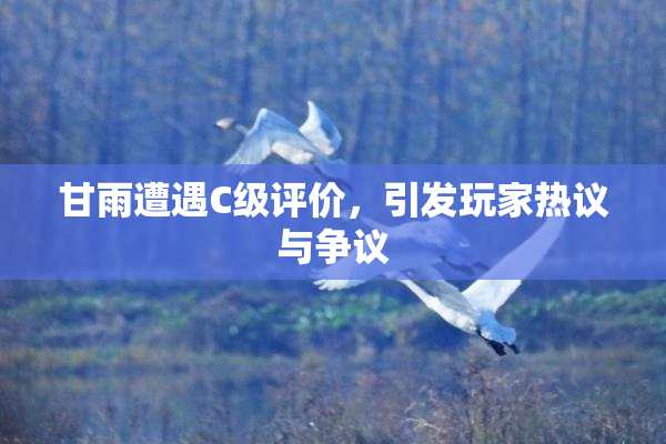 甘雨遭遇C级评价，引发玩家热议与争议