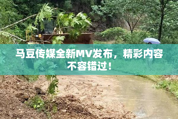 马豆传媒全新MV发布，精彩内容不容错过！