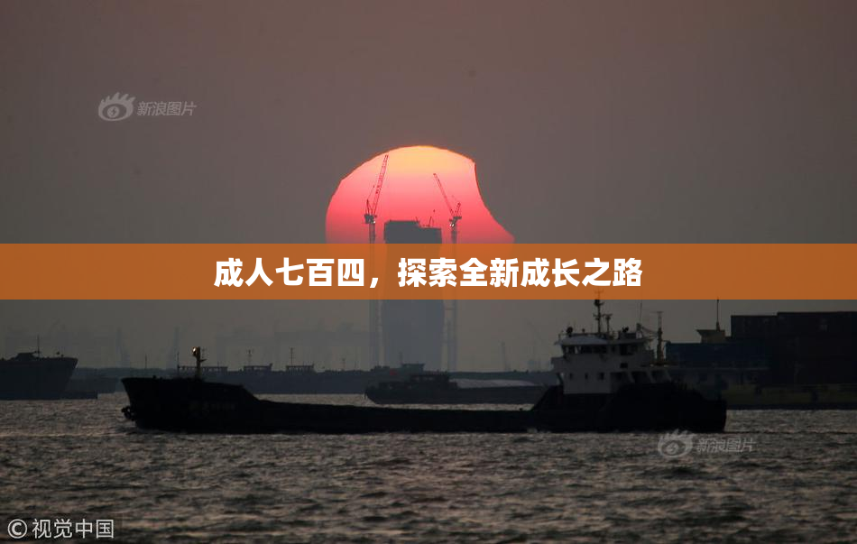 成人七百四，探索全新成长之路