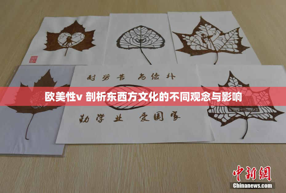 欧美性v 剖析东西方文化的不同观念与影响