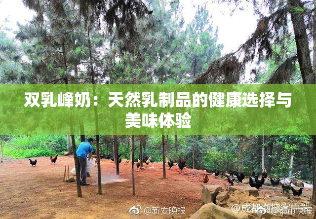 双乳峰奶：天然乳制品的健康选择与美味体验