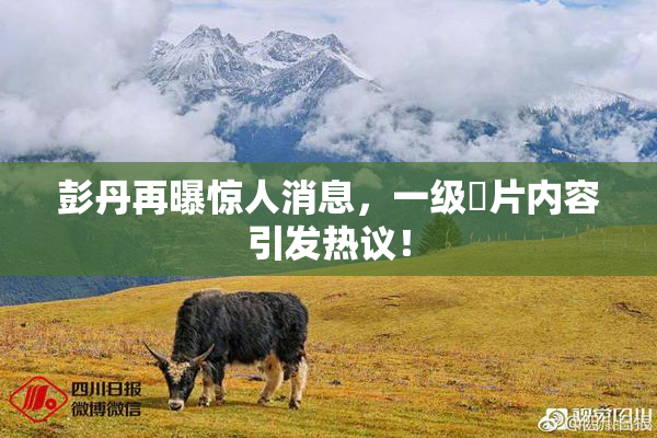 彭丹再曝惊人消息，一级婬片内容引发热议！