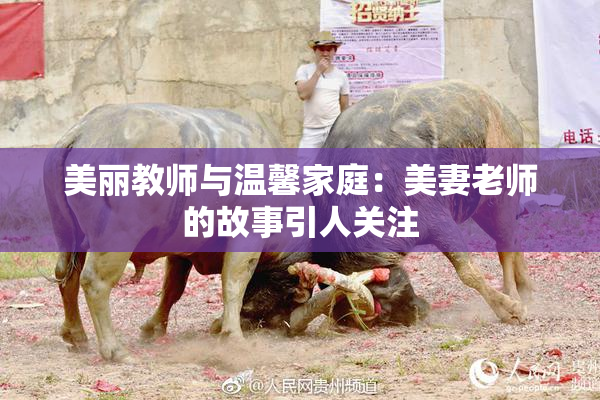 美丽教师与温馨家庭：美妻老师的故事引人关注