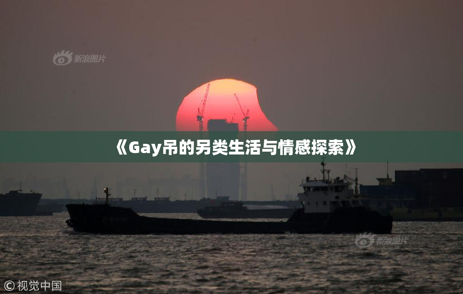 《Gay吊的另类生活与情感探索》