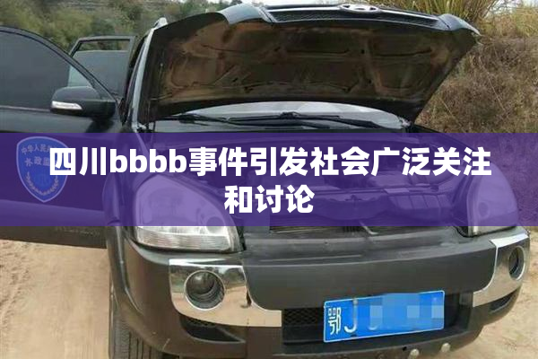 四川bbbb事件引发社会广泛关注和讨论