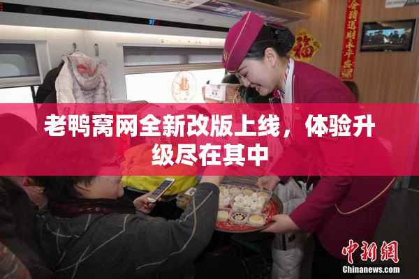 老鸭窝网全新改版上线，体验升级尽在其中