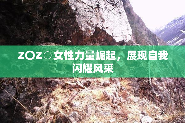 Z〇Z○女性力量崛起，展现自我闪耀风采
