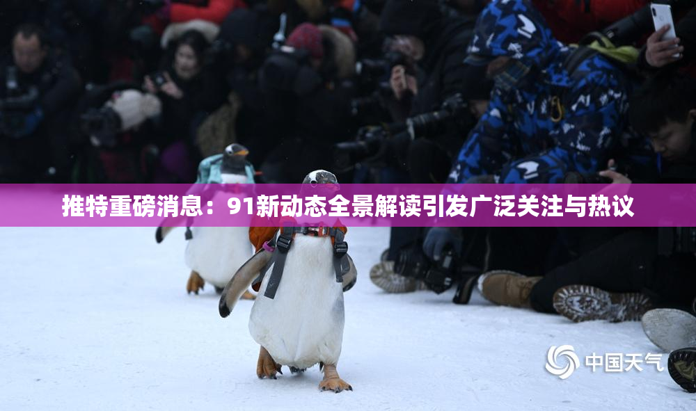 推特重磅消息：91新动态全景解读引发广泛关注与热议