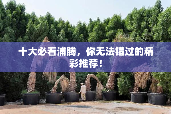 十大必看浦腾，你无法错过的精彩推荐！