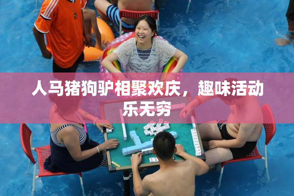 人马猪狗驴相聚欢庆，趣味活动乐无穷