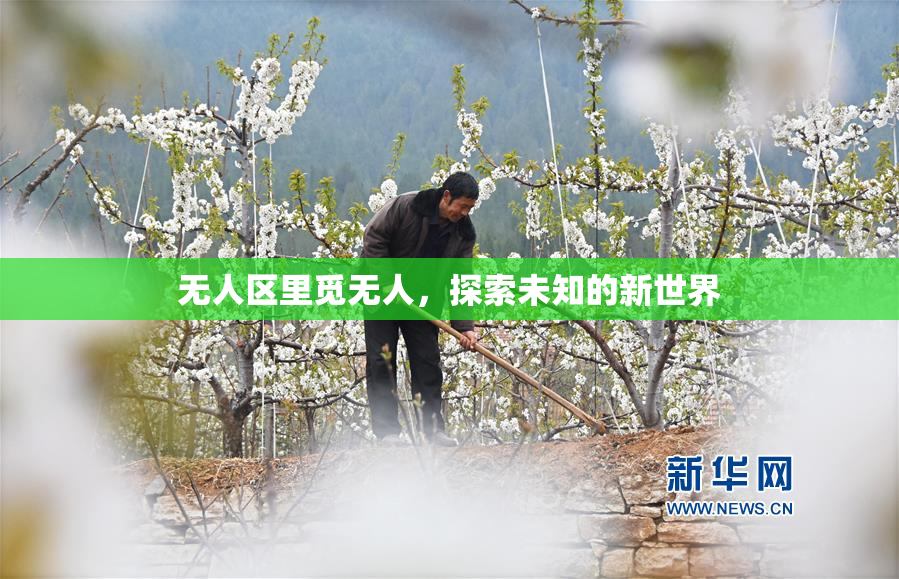 无人区里觅无人，探索未知的新世界