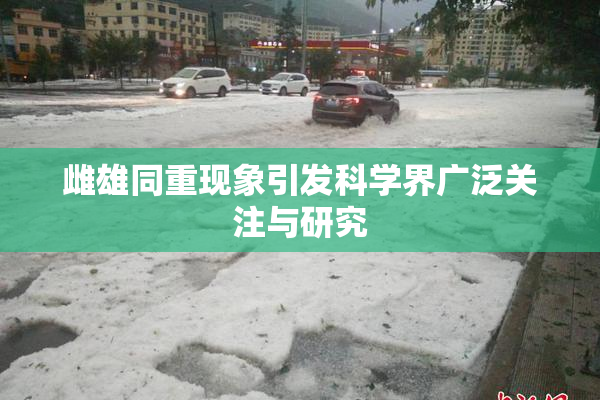 雌雄同重现象引发科学界广泛关注与研究