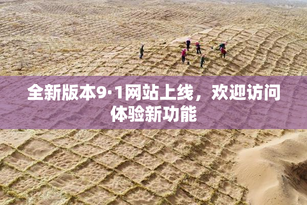 全新版本9·1网站上线，欢迎访问体验新功能