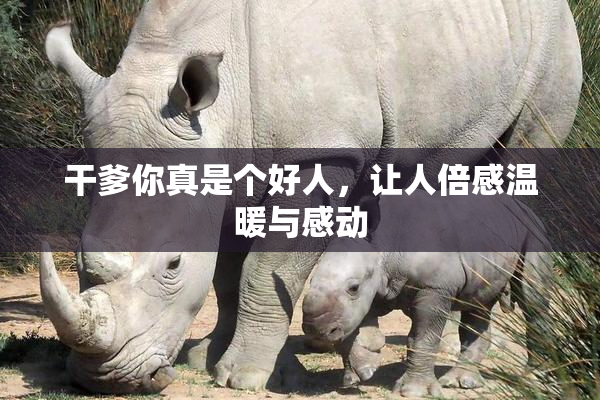 干爹你真是个好人，让人倍感温暖与感动