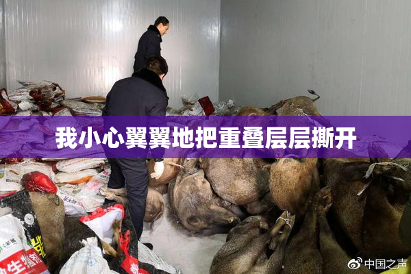 我小心翼翼地把重叠层层撕开